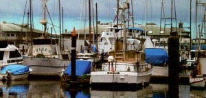 A view from the location of an unintentional GPS jammer across Moss Landing Harbor to the Monterey Bay Aquarium Research Institute. A GPS receiver with its antenna on the other side of the roof was continuously jammed for months.