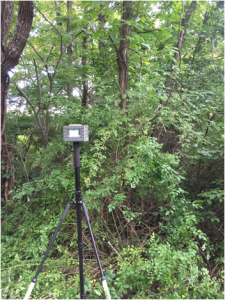 A TRIUMPH-LS collecting a point under tree canopy.