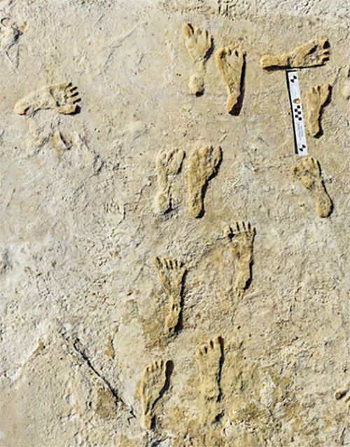 White Sands has the largest collection of fossilized human footprints. (Photo: National Park Service)