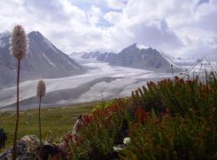 Tavan Bogd mountains and glaciers. (Credit: Wikimedia, CC BY-SA 3.0)