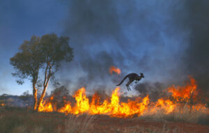 Credit: AscentXmedia/E+/Getty Images