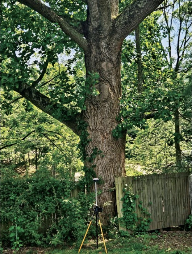 Trees, such as this 150-year-old tulip poplar, were killers of previous-generation GNSS systems. Robust designs, the modern sensor stack, and powerful algorithms
can now fix reliably in heavy canopy, saving hours of traditional work.