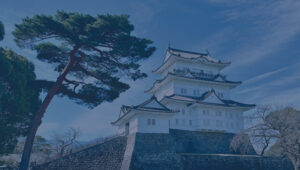 In 1938, what remained of Odawara Castle was made a heritage site and slowly rebuilt. It has remained a delicate piece of history in need of ongoing renovation. (Image: Artec 3D)